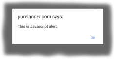Add Javascript Alert to your landing page